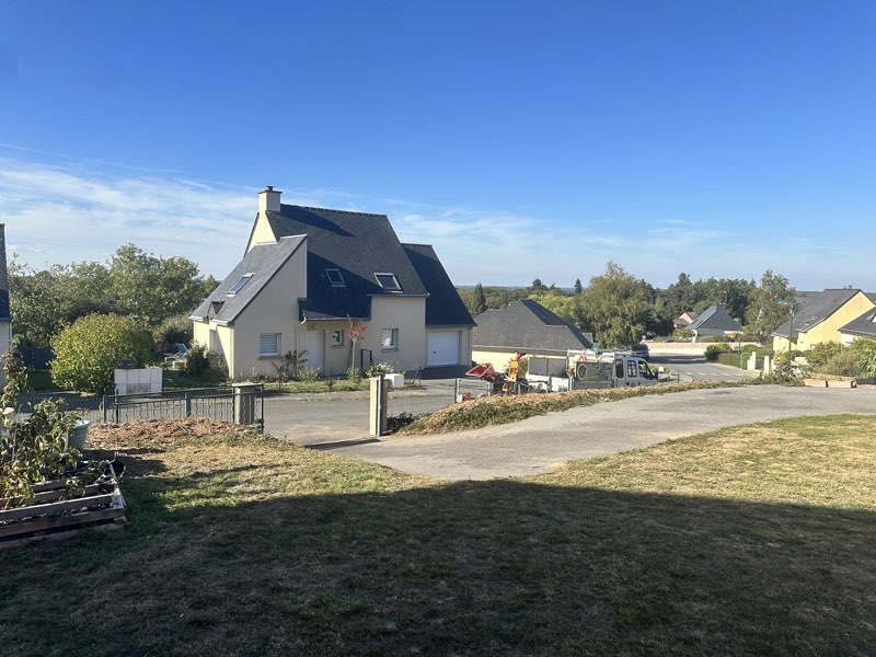 Le terrain dégagé après l’arrachage de la haie par My Multiservices Paysage