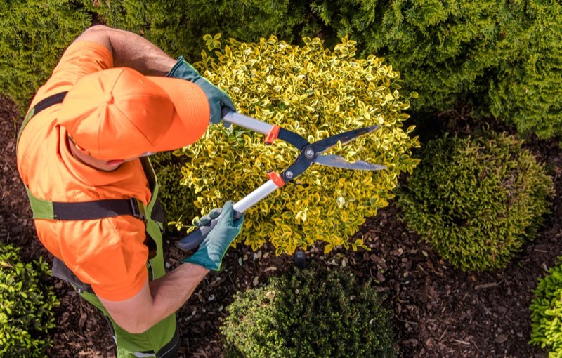 Entretien régulier d’un jardin sous contrat à l’année dans le Morbihan