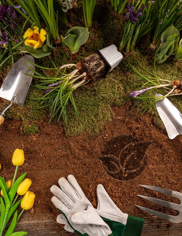 Contrat d’entretien de jardin My Multiservices Paysage : intervention sur place