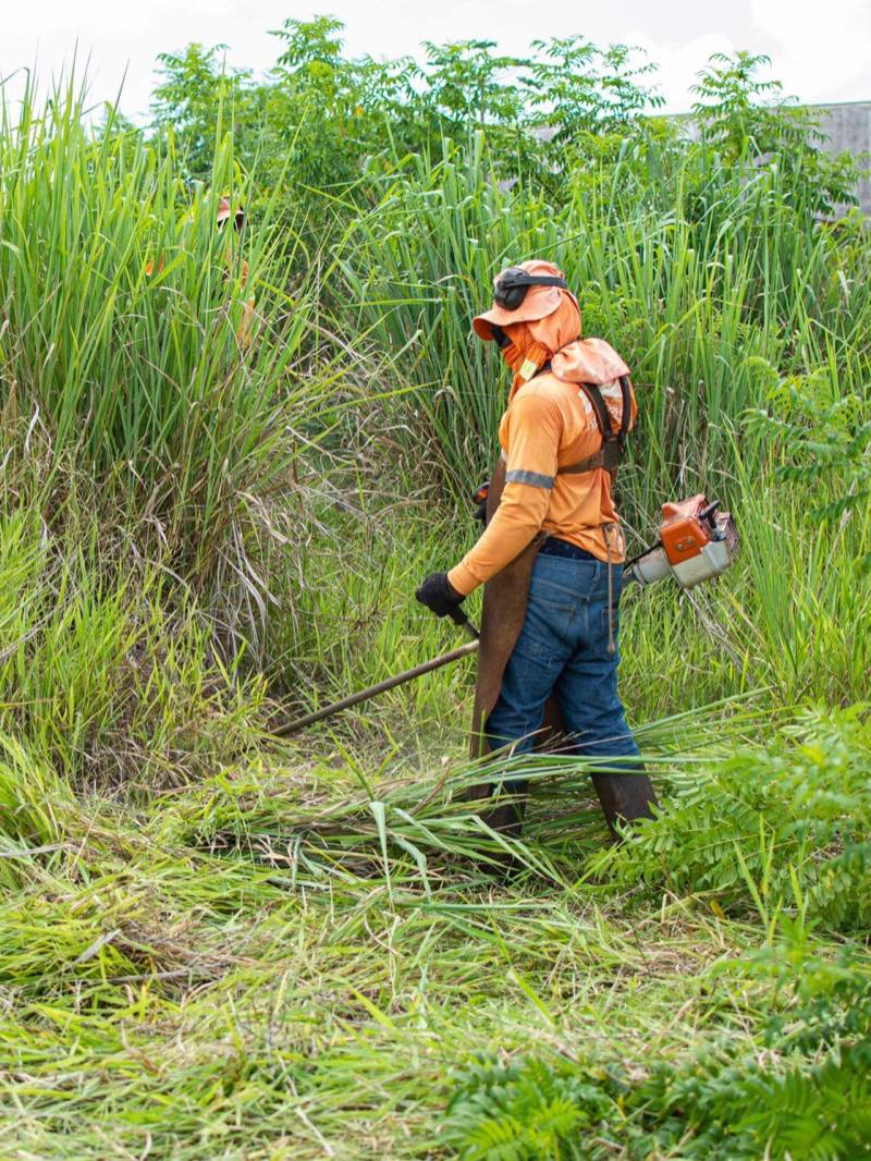 Débroussaillage d’un terrain envahi par les herbes hautes